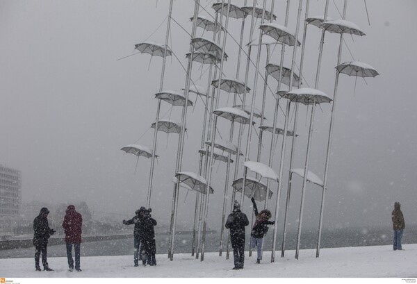 Η Θεσσαλονίκη απολαμβάνει το χιόνι - Φωτογραφίες από το λευκό τοπίο στο κέντρο της πόλης