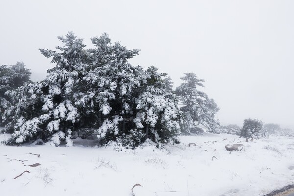 Νεκρή μία 55χρονη στο Καρπενήσι λόγω του χιονιά