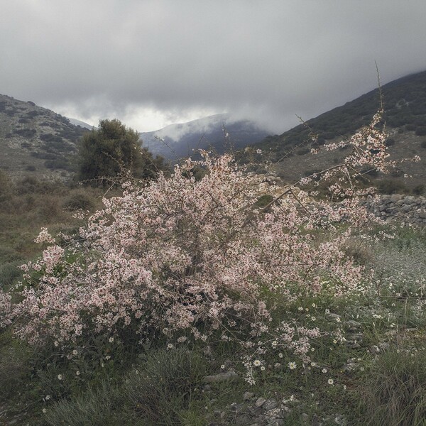 Somewhere. Τοπία της Κρήτης.