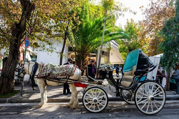 Τα «Αρχοντικά της Κηφισιάς»: Βόλτες στον χρόνο και στην ιστορία του δήμου