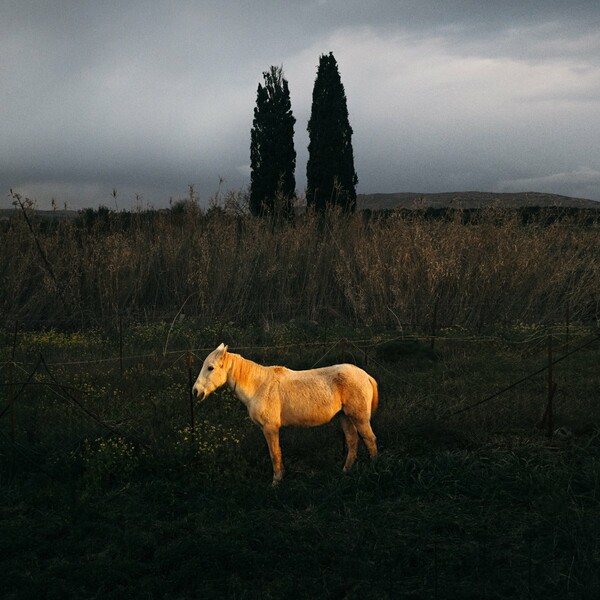 Somewhere. Τοπία της Κρήτης.