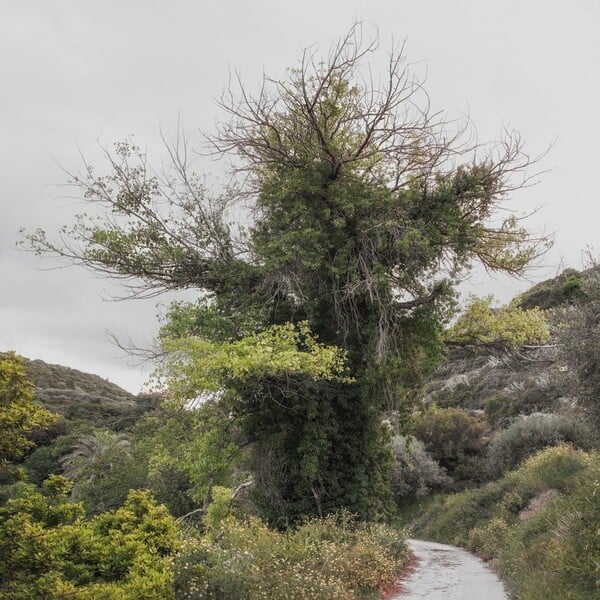 Somewhere. Τοπία της Κρήτης.