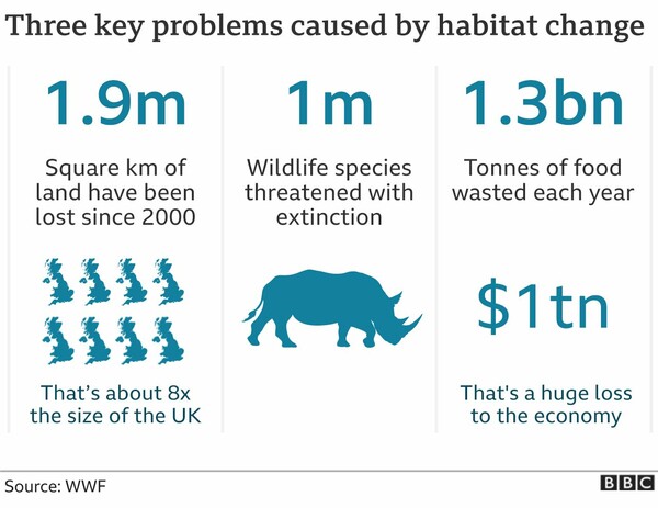 SOS από επιστήμονες: Η άγρια ζωή φθίνει επικίνδυνα - «Μειώθηκε κατά 2/3 σε μισό αιώνα»