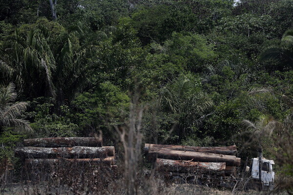 Ανησυχητικά στοιχεία για την αποψίλωση στον Αμαζόνιο: Αυξήθηκε κατά 103% τον Νοέμβριο