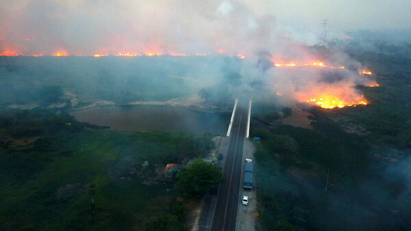 Φωτιές - ρεκόρ εντός Ιουνίου στον Αμαζόνιο - Οι περισσότερες των τελευταίων 13 ετών