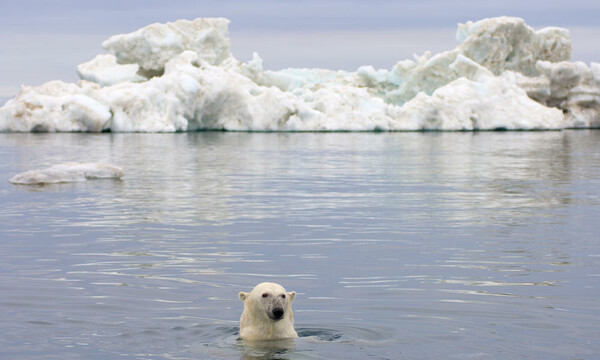 Το λιώσιμο των πάγων αποκάλυψε πέντε νέα νησιά στην Αρκτική