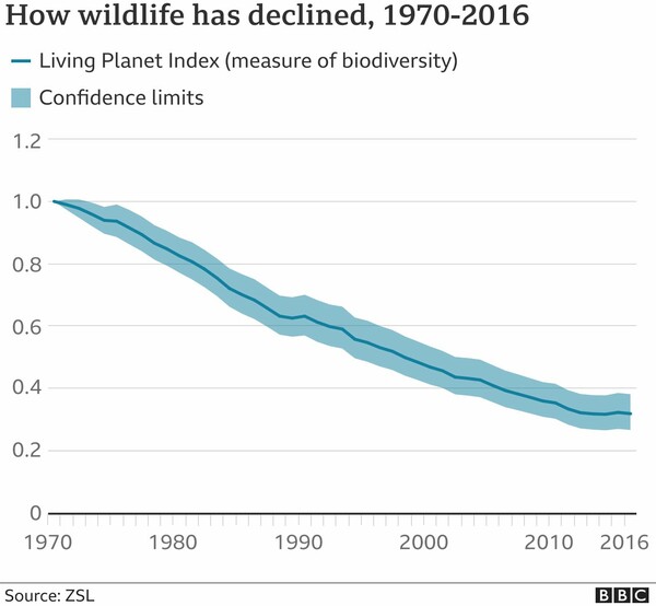 SOS από επιστήμονες: Η άγρια ζωή φθίνει επικίνδυνα - «Μειώθηκε κατά 2/3 σε μισό αιώνα»