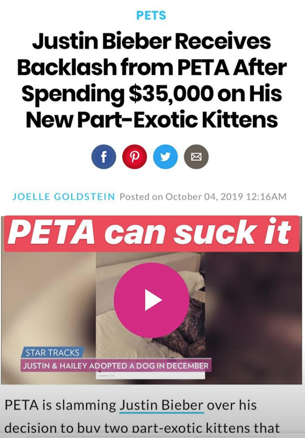 Ο Τζάστιν Μπίμπερ αγόρασε πανάκριβες εξωτικές γάτες, η Peta τον κατέκρινε και εκείνος απάντησε "suck it"