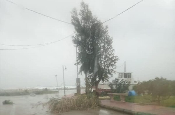 Κέρκυρα: Προβλήματα από την κακοκαιρία «Βικτώρια» - Πλημμυρισμένα σπίτια, πτώσεις δέντρων, διακοπές ρεύματος