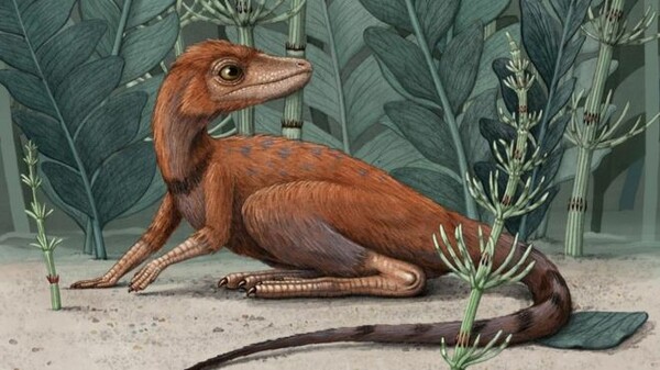Έρευνα ανατρέπει όσα γνωρίζαμε για τους δεινόσαυρους - Οι «πρόγονοί» τους ήταν μικροσκοπικοί