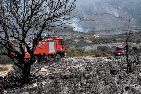 Συναγερμός στην Πυροσβεστική - Πυρκαγιά σε δασική έκταση στην Επίδαυρο