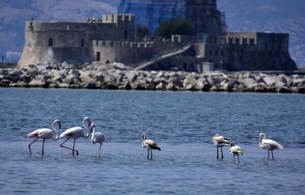 Καιρός: Άνοδος της θερμοκρασίας, έως τους 36 βαθμούς θα φτάσει το θερμόμετρο