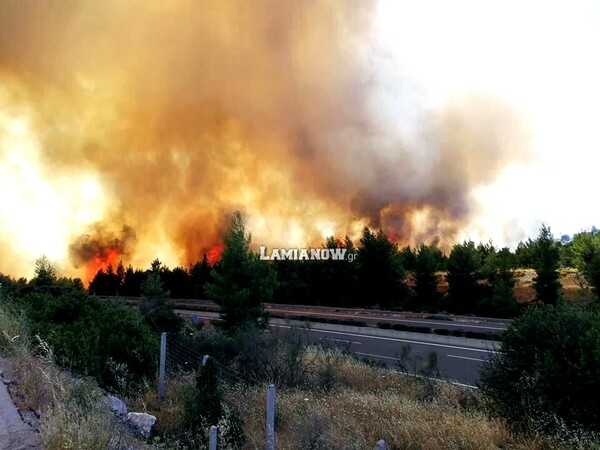 Φωτιά στο Μαρτίνο Φθιώτιδας- Εκτροπή κυκλοφορίας στην εθνική οδό Αθηνών- Λαμίας