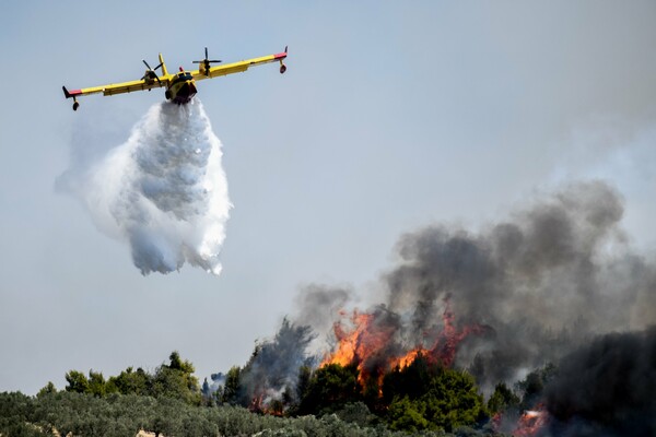 Πυρκαγιά στις Κεχριές: Ενεργοποιείται το Copernicus - Τραυματίστηκε πυροσβέστης