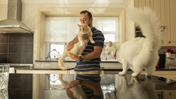 Mittens: Ο γάτος - μασκότ του Ουέλινγκτον – Όλοι θέλουν να φωτογραφηθούν μαζί του