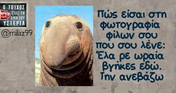 Οι Μεγάλες Αλήθειες της Πέμπτης 26/09/2019