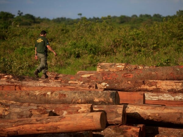 Φωτιές, αποδάσωση, εξορύξεις, υλοτομία και τώρα ο κορωνοϊός: Ο Αμαζόνιος εκπέμπει SOS