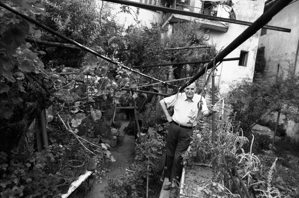 Ντίνος Χριστιανόπουλος: το photo album του 1995