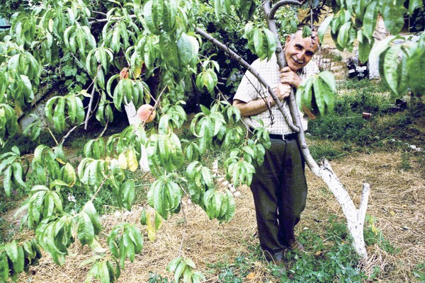 Ντίνος Χριστιανόπουλος: το photo album του 1995