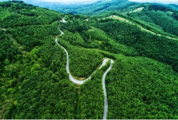 WWF και Greenpeace ενώνουν τις δυνάμεις τους εναντίον του περιβαλλοντικού νομοσχεδίου