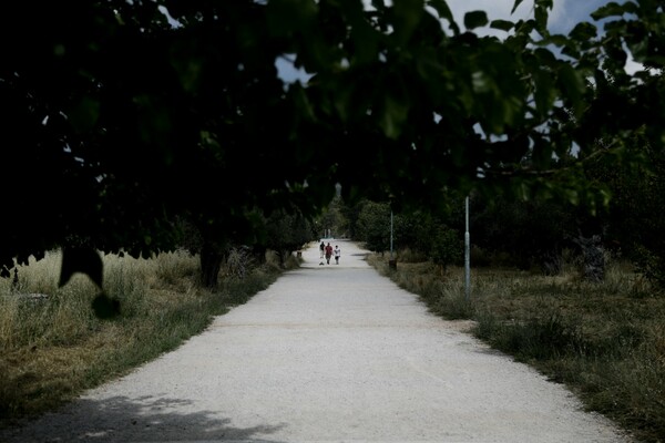 Αναβαθμίζεται το Πάρκο Τρίτση: Ο μεγαλύτερος «πνεύμονας» πρασίνου στα δυτικά προάστια