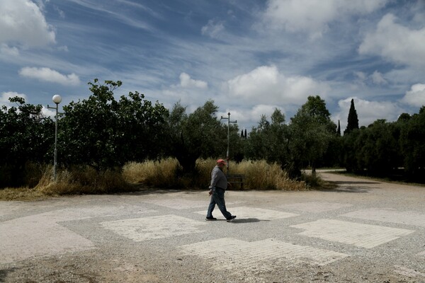 Αναβαθμίζεται το Πάρκο Τρίτση: Ο μεγαλύτερος «πνεύμονας» πρασίνου στα δυτικά προάστια