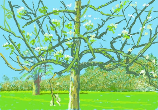 Ο Ντέιβιντ Χόκνεϊ ζωγραφίζει το ξύπνημα της Άνοιξης και μοιράζεται τα έργα του ως «ανάπαυλα από τις ειδήσεις»