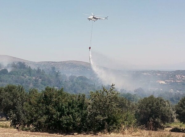 Πυρκαγιά στην Κάρυστο - Ισχυρές πυροσβεστικές δυνάμεις στο σημείο