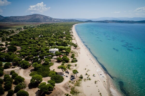 Οι «Γαλάζιες Σημαίες» της Αττικής- Αυτές είναι οι 19 βραβευμένες παραλίες κοντά στην Αθήνα