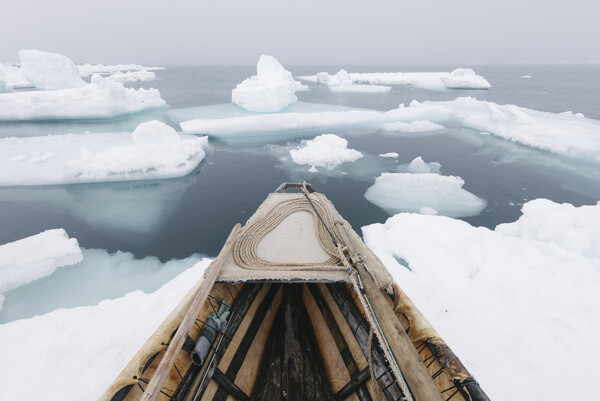 Αρκτική: Το Βρετανικό Μουσείο μόλις ανακοίνωσε την πιο ξεχωριστή έκθεση της χρονιάς με θέμα τη βορειότερη περιοχή του πλανήτη