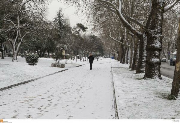 Μeteo για κακοκαιρία «Ηφαιστίων»: Ολικός παγετός, χιόνια και θυελλώδεις άνεμοι - Θα επηρεαστεί και η Αττική