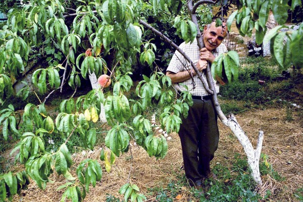 Η ζωή και ο θάνατος του Ντίνου Χριστιανόπουλου