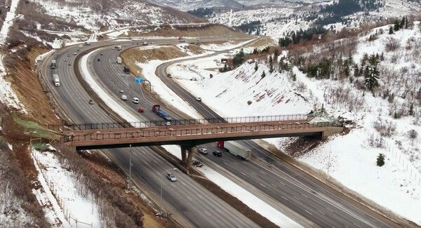 Έφτιαξαν γέφυρα πάνω από αυτοκινητόδρομο για αποκλειστική χρήση από άγρια ζώα