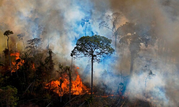 Ο Αμαζόνιος σε σημείο καμπής: Το τροπικό δάσος κινδυνεύει να μετατραπεί σε σαβάνα