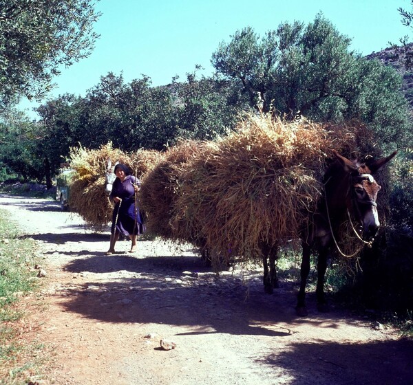 Βιοπαλαιστές στην Κρήτη της δεκαετίας του '70