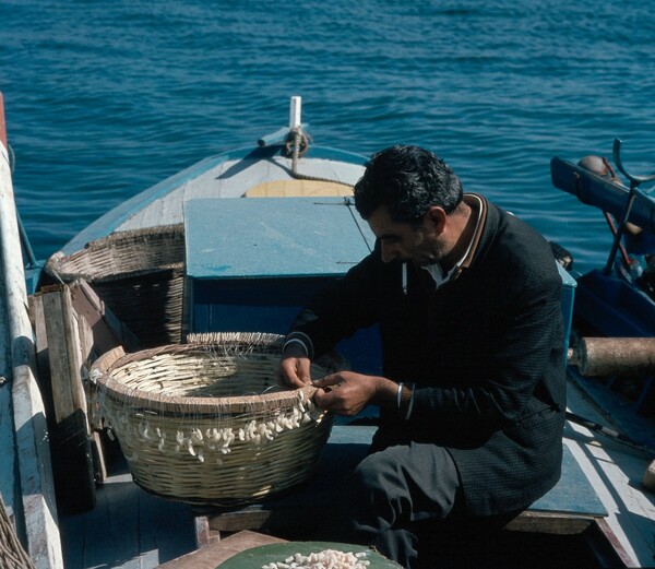 Βιοπαλαιστές στην Κρήτη της δεκαετίας του '70