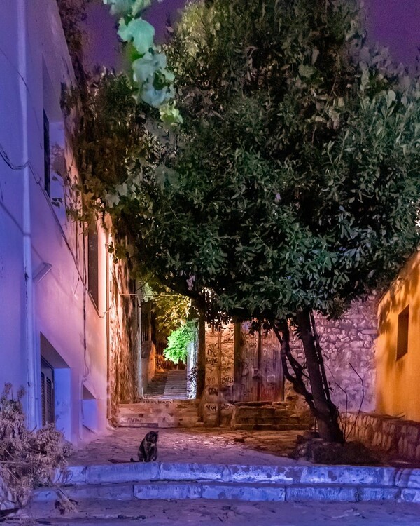 10 νέες φωτογραφίες απ' τα τέλεια ζώα των αναγνωστών μας #448