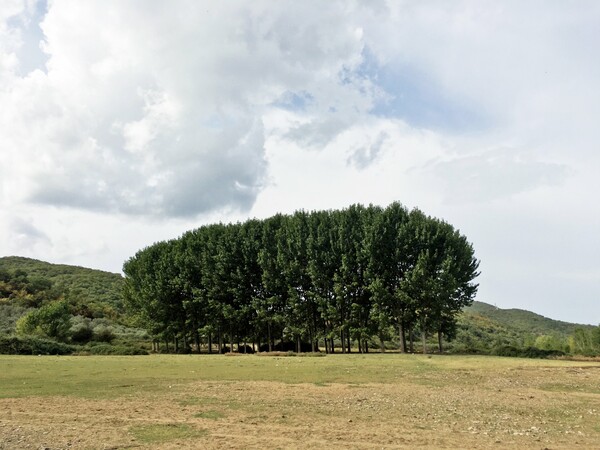 Οδοιπορικό στη Λίμνη Κερκίνη, 2020