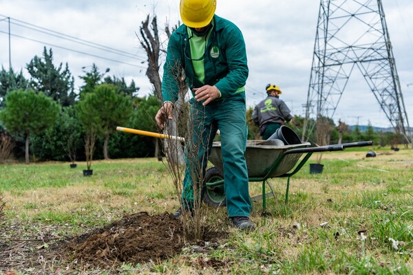 Το ΑΠΘ δημιούργησε κήπο για την παρακολούθηση της κλιματικής αλλαγής- Με 100 δέντρα και θάμνους