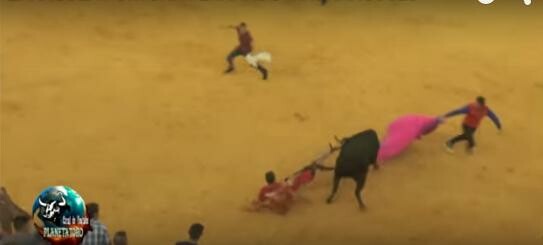 Iσπανία: Ταύρος ξεγυμνώνει "ταυρομάχο"