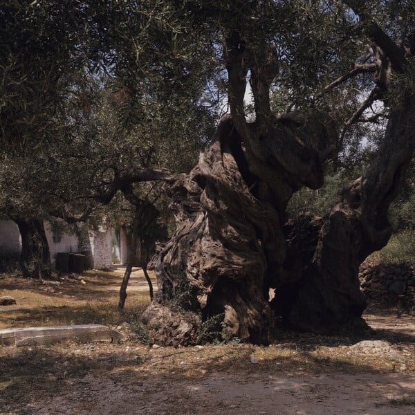 Η ομορφιά και η ηρεμία των Επτανήσων του 1974 σε 20 μαγικές φωτογραφίες