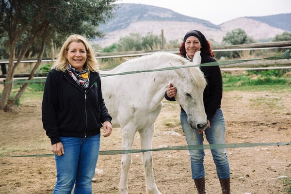 Ελληνικός Σύλλογος Προστασίας Ιπποειδών