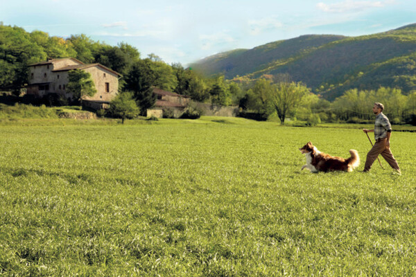 Country Farms: Το καλό είναι στη φύση τους 