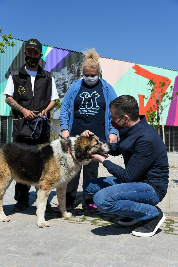 Έτοιμο το πρώτο σύγχρονο καταφύγιο αδέσποτων ζώων του δήμου της Αθήνας