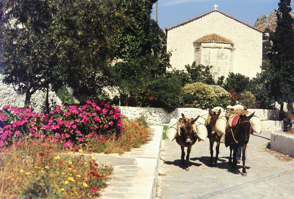 Στην Ύδρα του '80