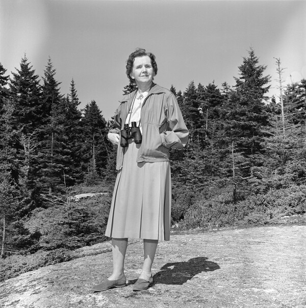 rachel carson