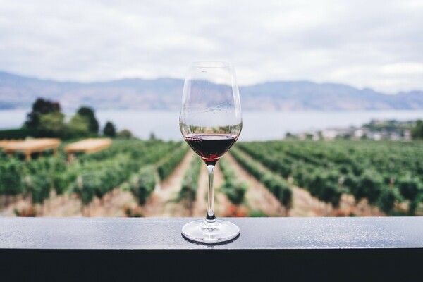 Πτώση 11,13% στις εξαγωγές του ελληνικού κρασιού το 2020 λόγω της πανδημίας