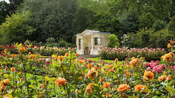 Πολίτες θα μπορούν να κάνουν πικ νικ στους κήπους του Μπάκιγχαμ το καλοκαίρι- Τεράστια ζήτηση για τα εισιτήρια
