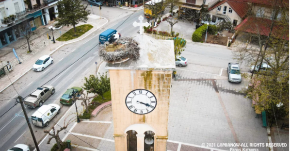 Λαμία: Οι πελαργοί επέστρεψαν στις φωλιές τους