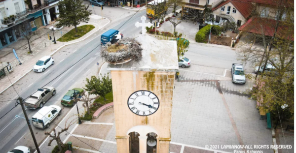 Λαμία: Οι πελαργοί επέστρεψαν στις φωλιές τους 